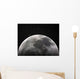 moon Wall Mural