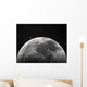 moon Wall Mural