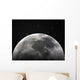 moon Wall Mural