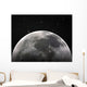 moon Wall Mural