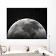 moon Wall Mural
