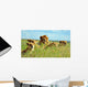 Pride of Lions Wall Mural