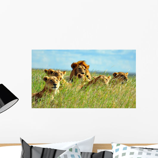 Pride of Lions Wall Mural
