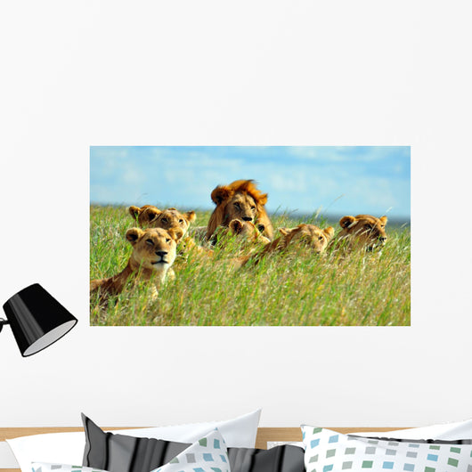 Pride of Lions Wall Mural