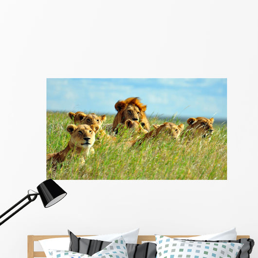 Pride of Lions Wall Mural