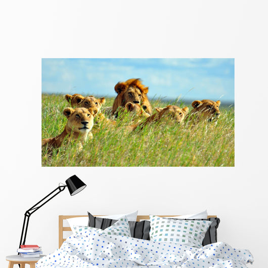 Pride of Lions Wall Mural