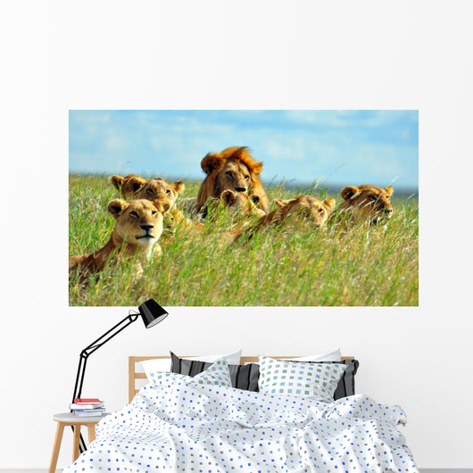 Pride of Lions Wall Mural