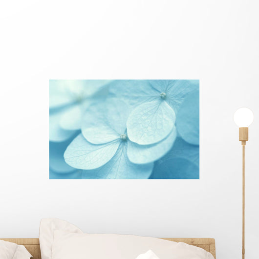 Hydrangea Wall Mural