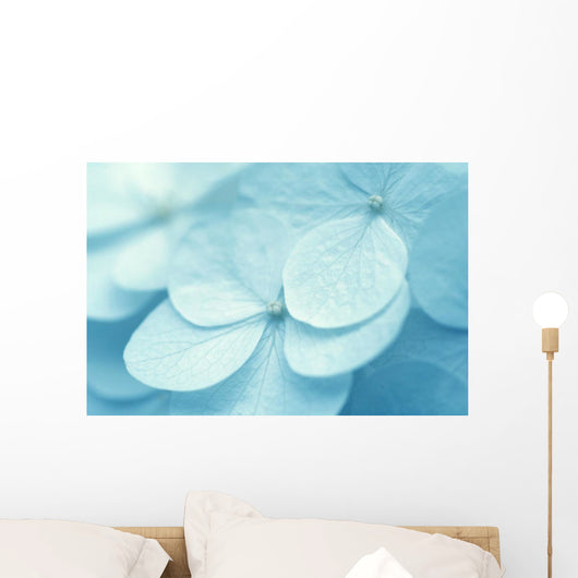 Hydrangea Wall Mural
