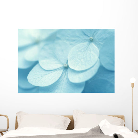 Hydrangea Wall Mural