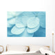 Hydrangea Wall Mural