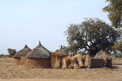 Village African Wall Decal