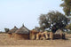Village African Wall Decal