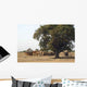 Village Africa Wall Decal Design 1