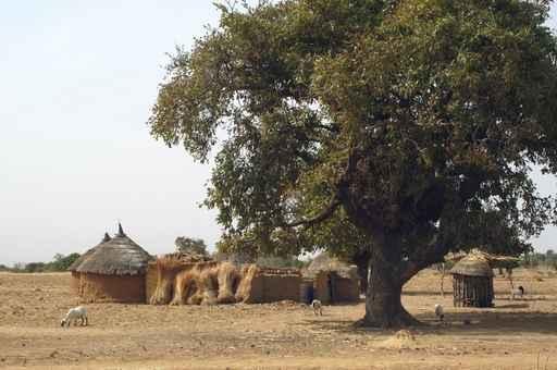 Village Africa Wall Decal Design 1