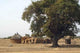 Village Africa Wall Decal Design 1