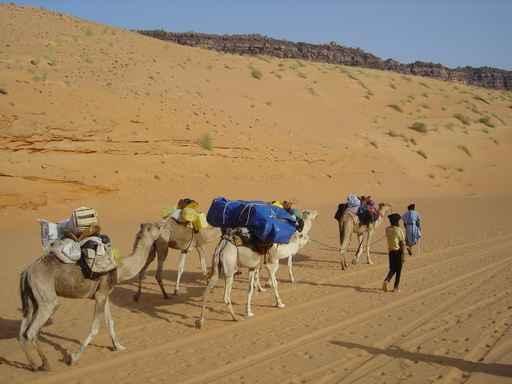 Meharee Wall Decal Design 2