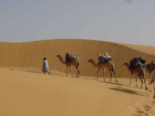 Meharee Wall Decal Design 1