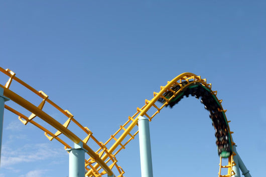 Roller Coaster Wall Mural