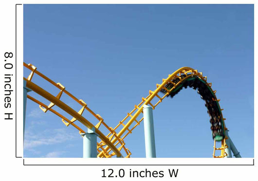 Roller Coaster Wall Mural