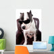 American Staffordshire Wearing Sunglasses Looking up Wall Decal