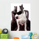 American Staffordshire Wearing Sunglasses Looking up Wall Decal