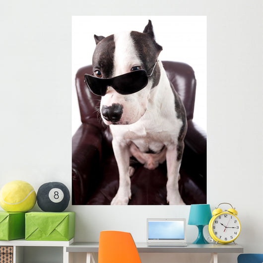 American Staffordshire Wearing Sunglasses Looking up Wall Decal