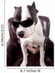 American Staffordshire Wearing Sunglasses Looking up Wall Decal