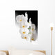 Weisse Orchidee Wall Mural
