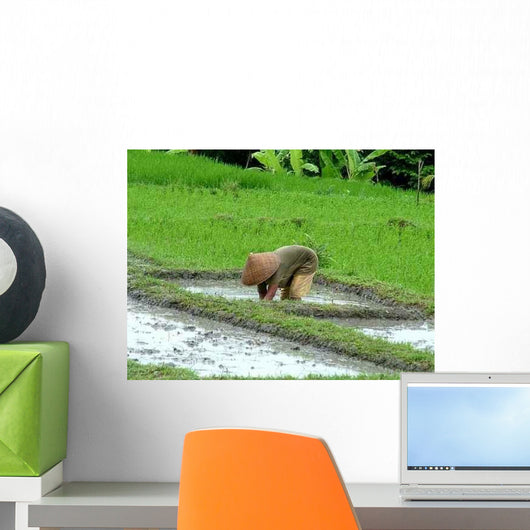 Rice Terraces Bali Wall Decal