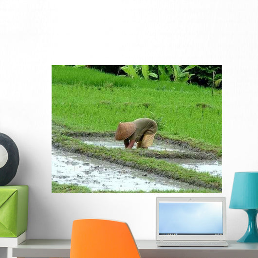 Rice Terraces Bali Wall Decal