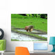 Rice Terraces Bali Wall Decal