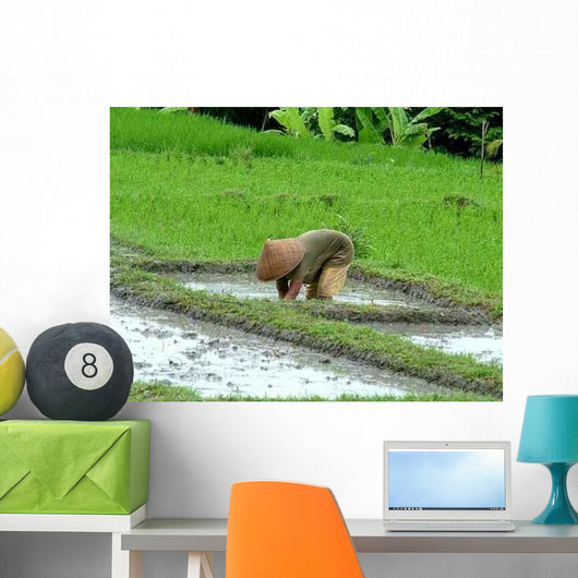 Rice Terraces Bali Wall Decal