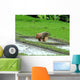 Rice Terraces Bali Wall Decal