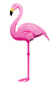 Flamingo Wall Decal