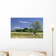 Maug1568 Wall Decal
