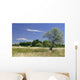 Maug1568 Wall Decal