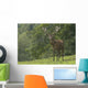 Rothirsch Wall Mural
