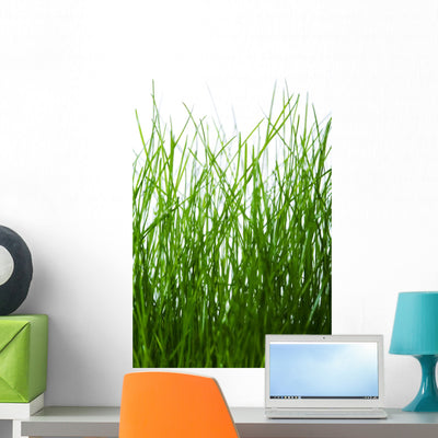 Grass shown on a wall