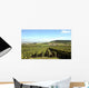 Champagne vineyards Wall Mural