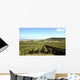 Champagne vineyards Wall Mural