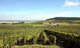 Champagne vineyards Wall Mural
