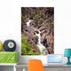 Torrent Wall Mural