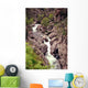 Torrent Wall Mural