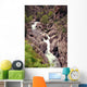 Torrent Wall Mural