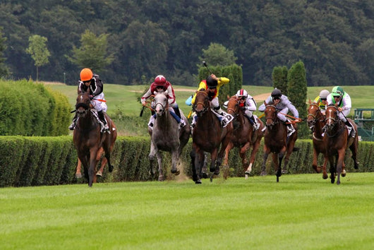 Horse Race Dusseldorf