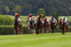 Horse Race Dusseldorf