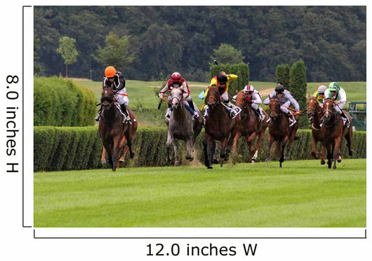 Horse Race Dusseldorf