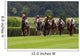 Horse Race Dusseldorf