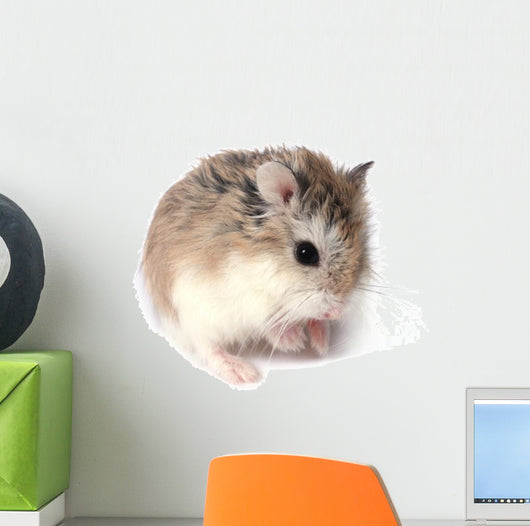 Roborovski Hamster Wall Decal